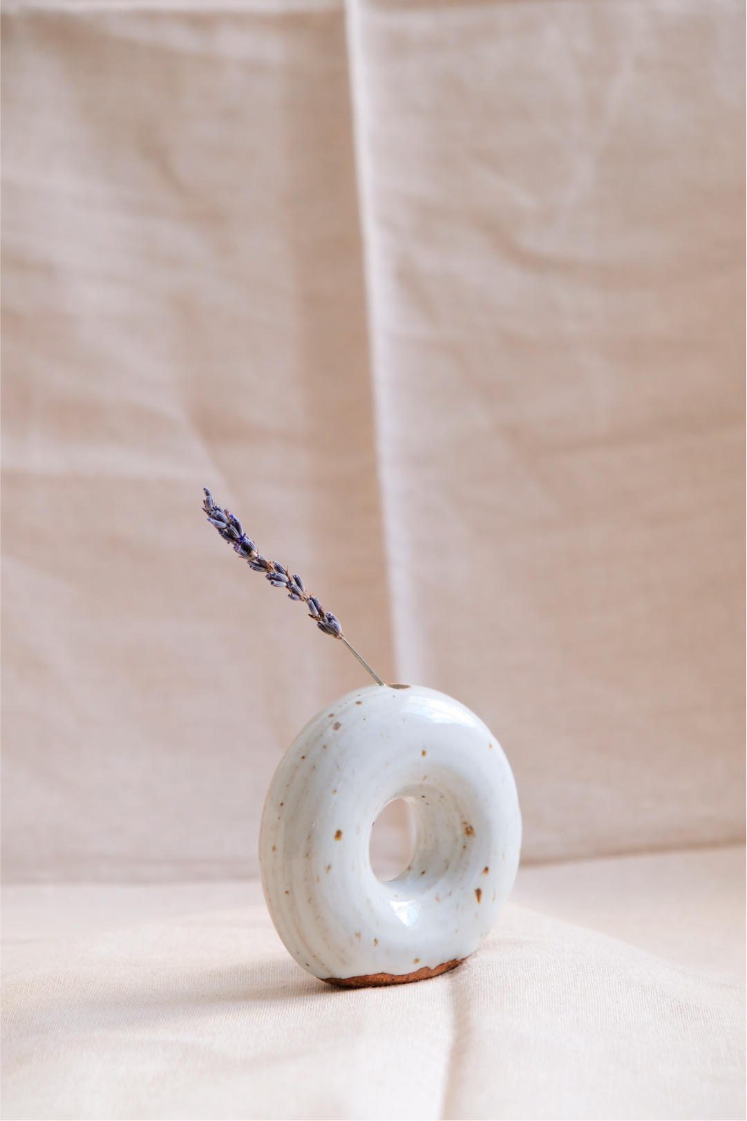 Donut Vase: The Cruller II