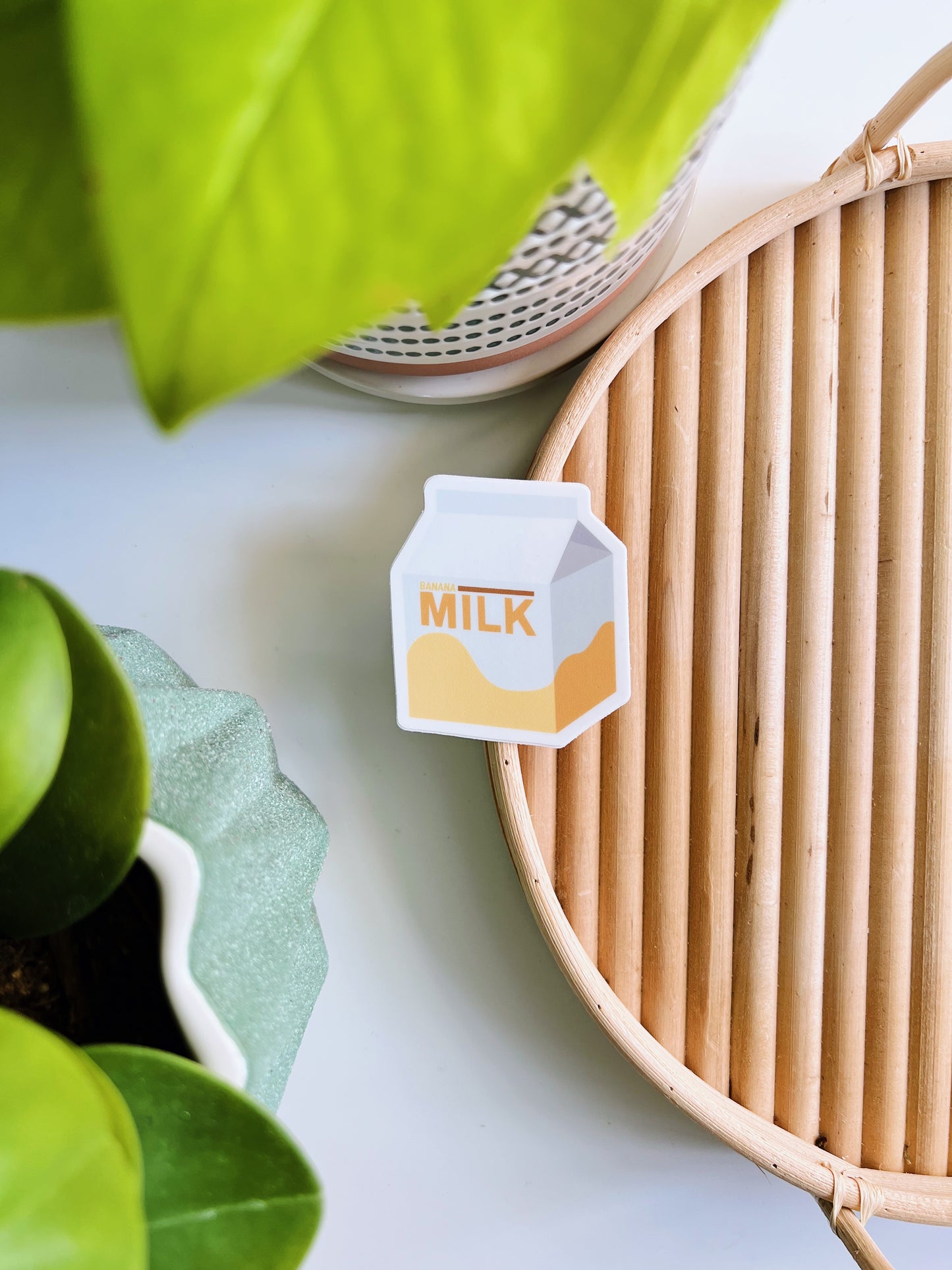 Milk Carton (Vinyl Stickers)